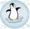 Core Aquatics